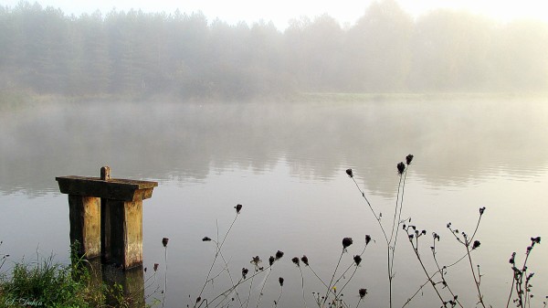 respiration1