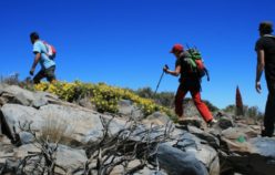 « Faire » de la montagne : la consommation de la marche