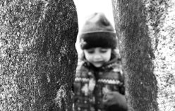 La mort de l’arbre magique ou le déconfinement de l’éducation